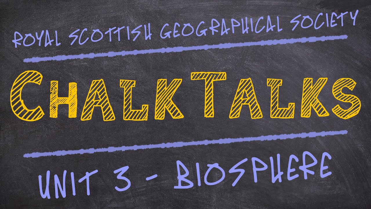 Дискуссии с использованием мела | Биосфера | Высшее образование