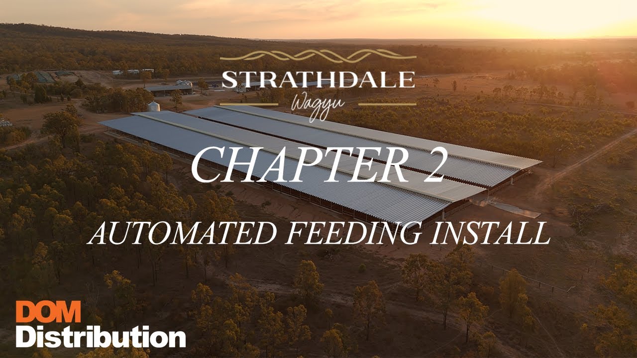The Future of Feedlots is Here!