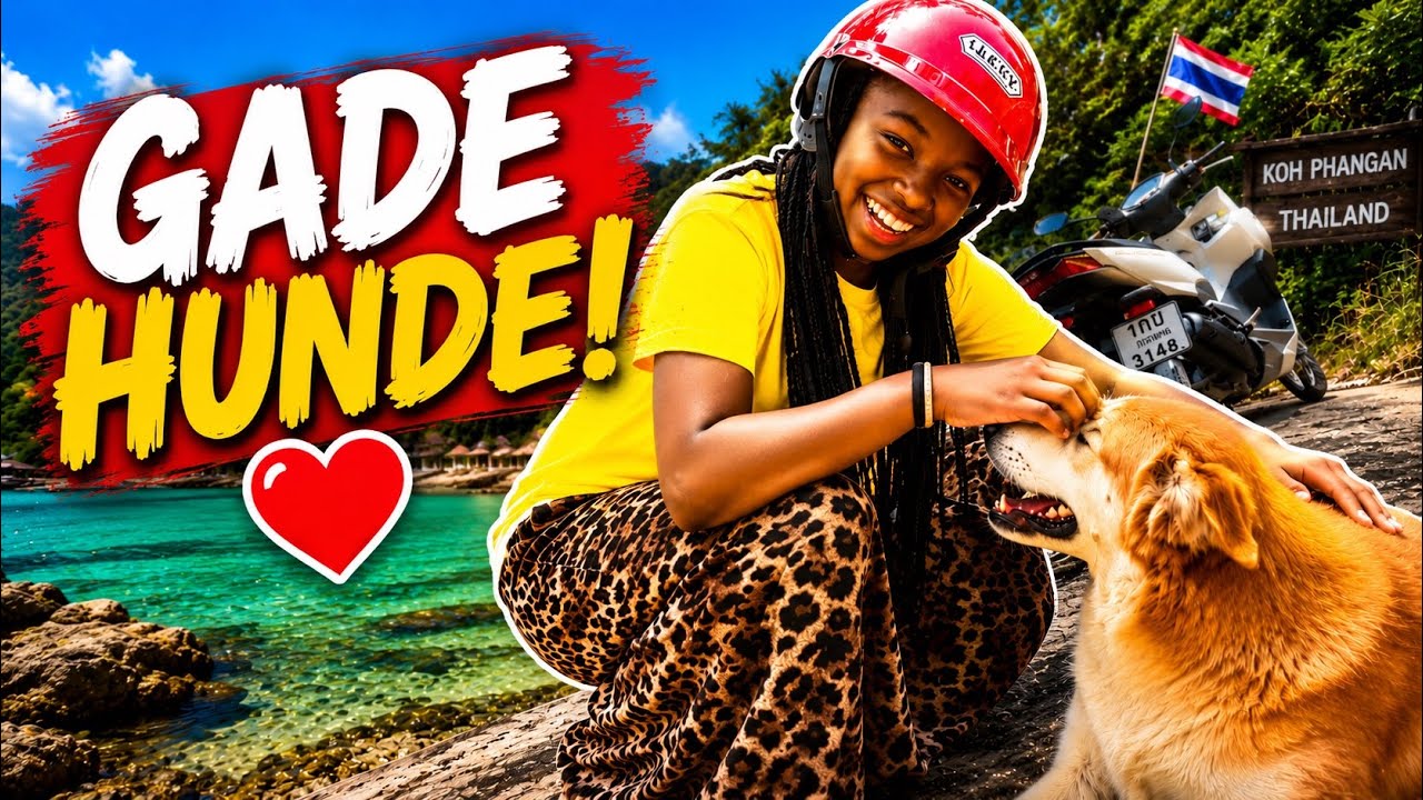 VI KUNNE IKKE IGNORERE DEM… 🐶💔
