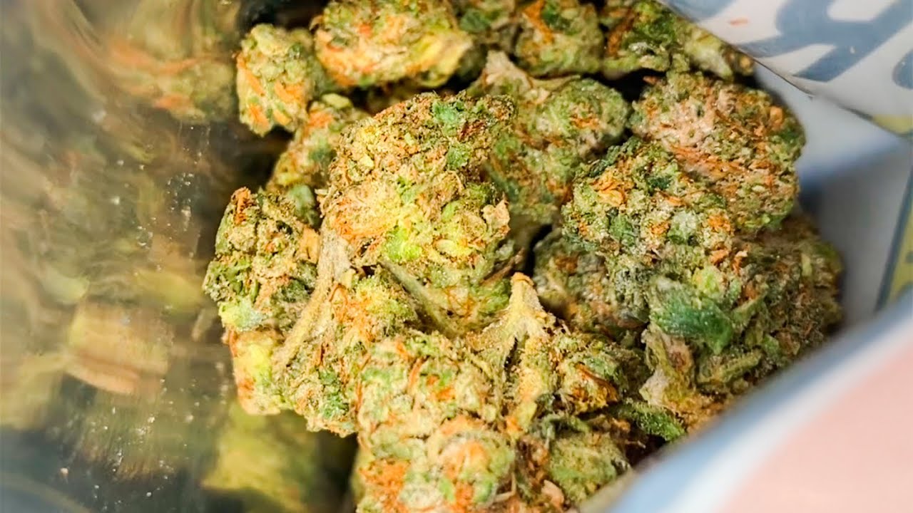 Pressure OG by GAS HOUSE Strain Review