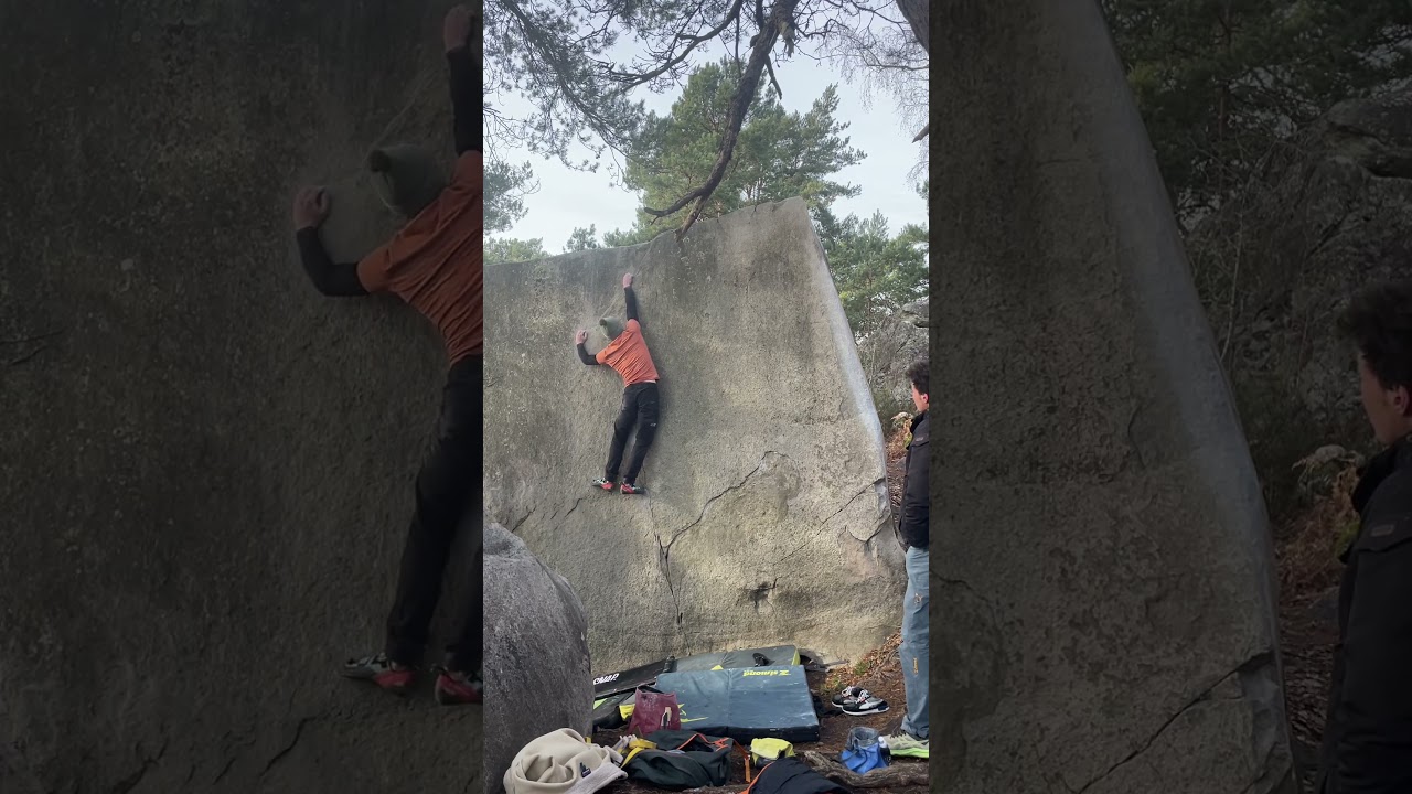 Laser 7a | Cuvier Rempart | Fontainebleau