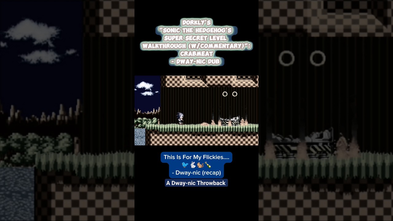 (From Dorkly Video Dub) 🐦🐇🐿️ This Is For My Flickies. #sonic #shorts