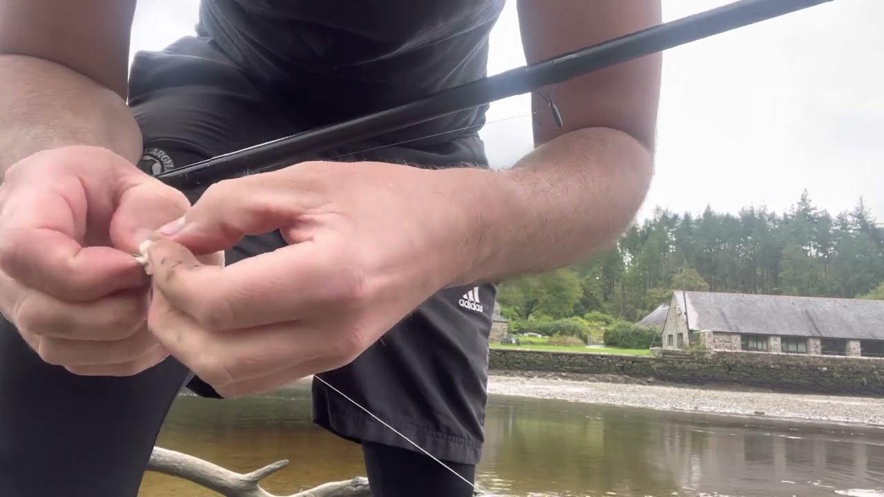 Mullet fishing 🎣 lopwell dam Plymouth fishing 🎣 🐟