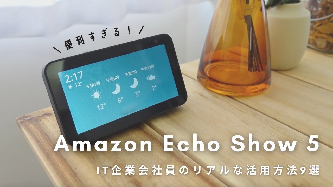 Как сделать свою повседневную жизнь комфортной с AMAZON ECHO SHOW 5. Живет один.