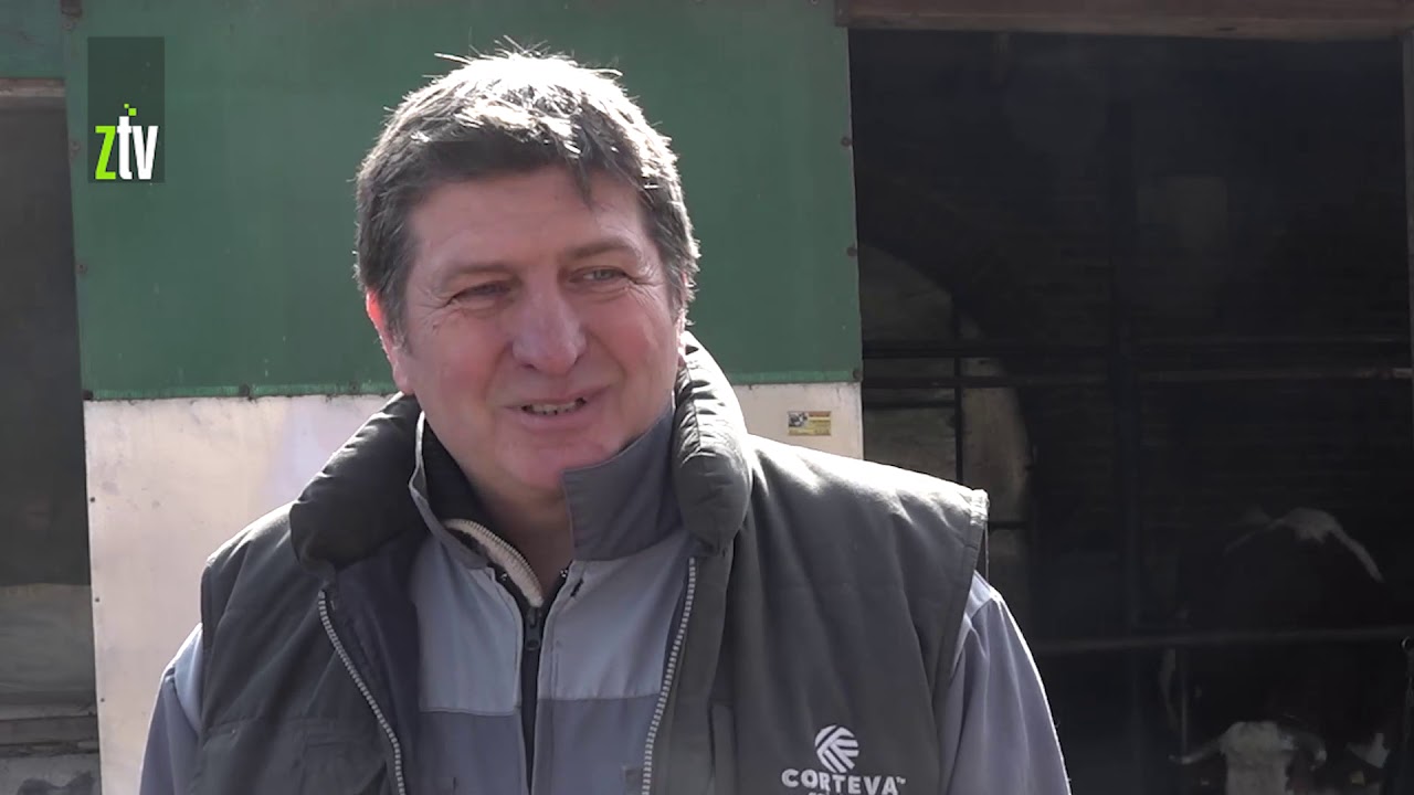 Seoska mlekara proizvodi sir u vinu