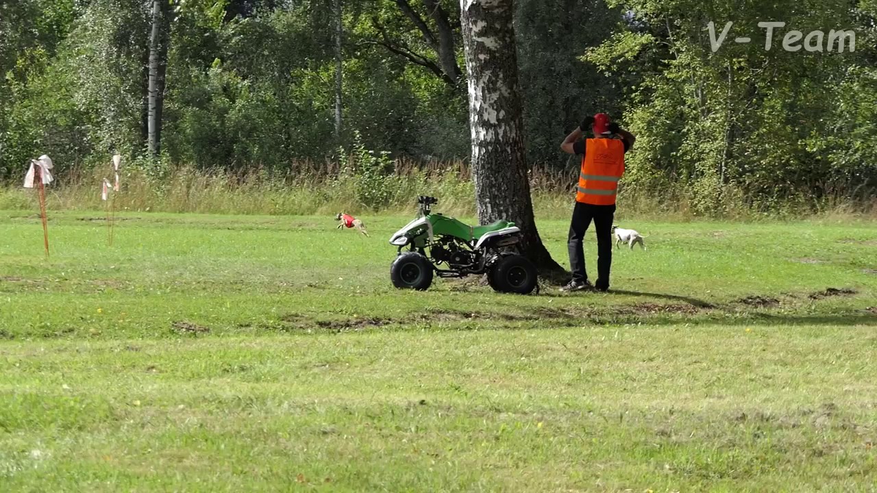 IG. Patricia Mielas Kupidonas (R) - Berenice Mielas Kupidonas (W). Twin Cup 2017, Latvia.