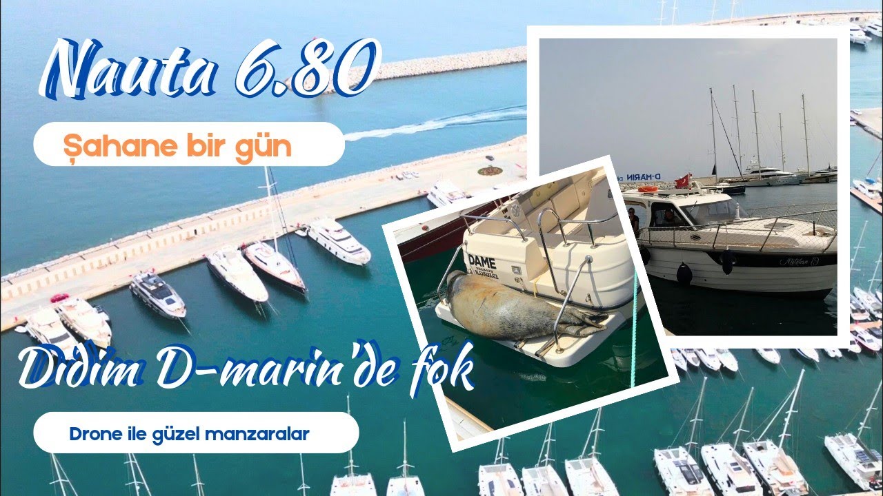 D-marin Didim ve Nauta 6.80 ile hasret giderdik | Tekneye Fok Balığı girdi