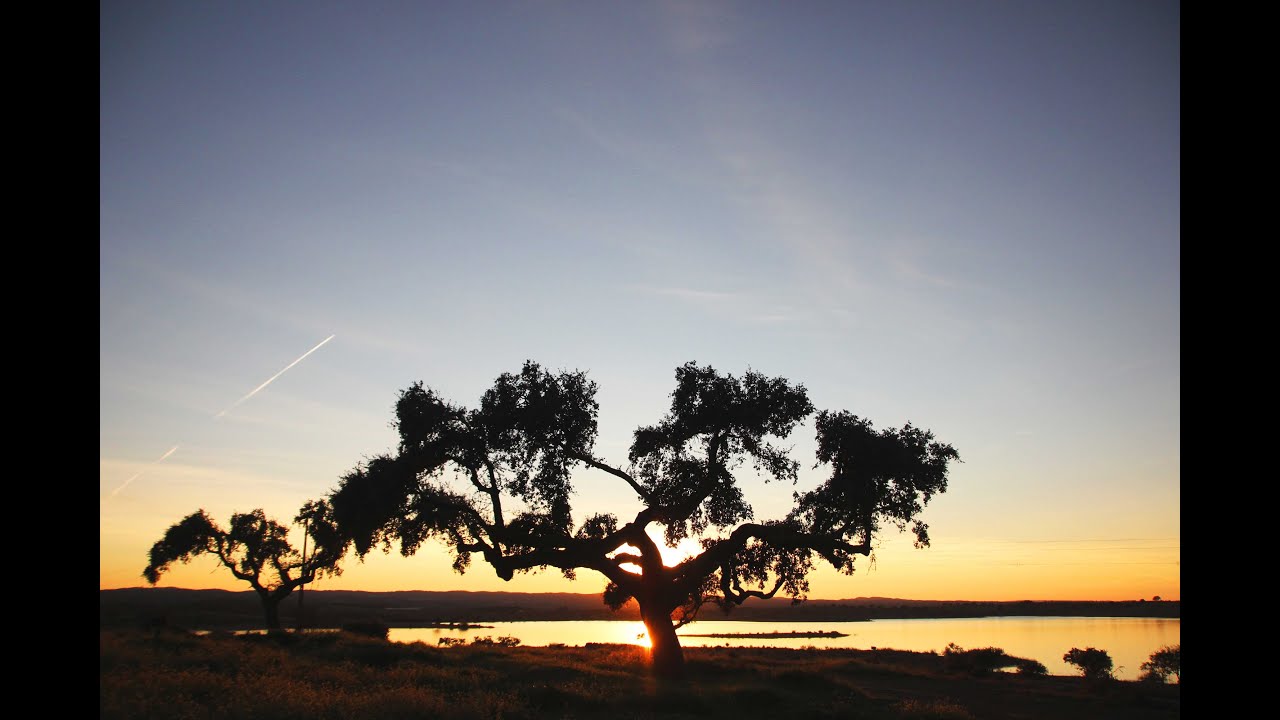 Herdade do Espor&atilde;o num minuto