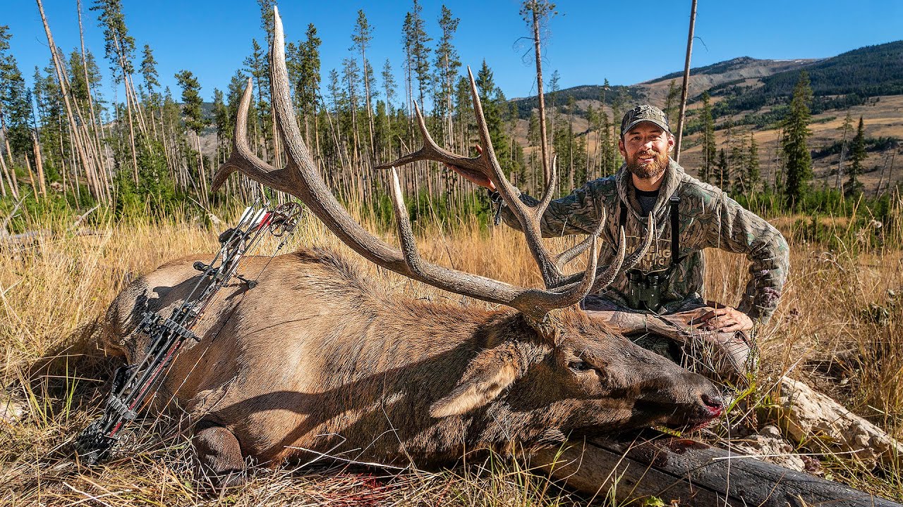 WYOMING BULL with a BOW!!! - (CRAZY Public Land Elk Hunt)