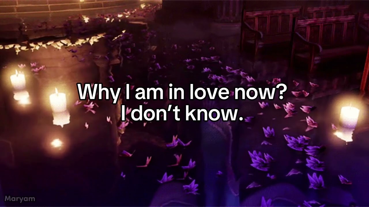Erika - I don’t know English Lyrics