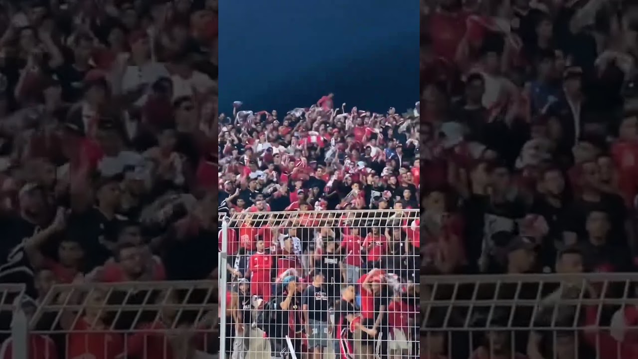 قيمة وهوية ✨.. اهازيج جمهور الوداد في اول مباراة من الموسم الجديد البطولة الوطنية 🇲🇦