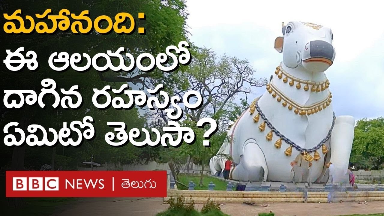 Mahanandi: మహానంది అంటే ఒక్క నంది కాదు, తొమ్మిది నందులు. ఈ గుడిలో దాగిన రహస్యం తెలుసా? | BBC Telugu
