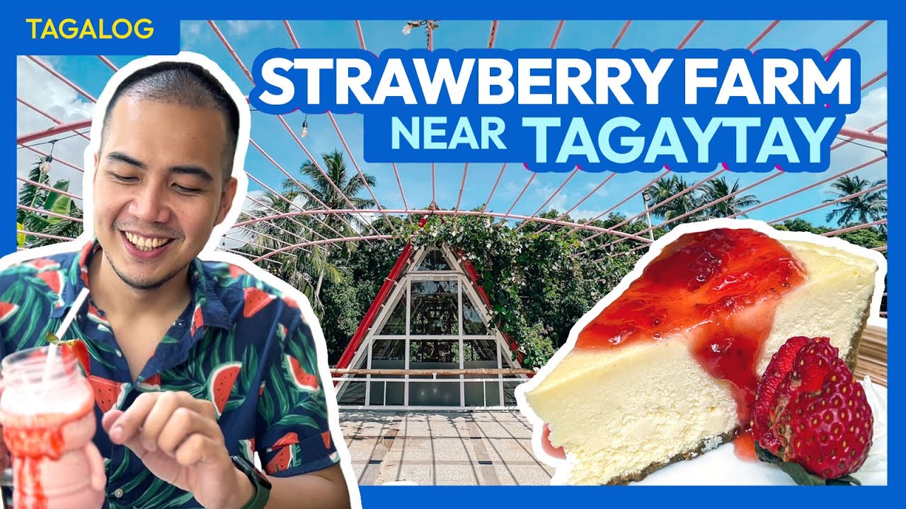 Queens STRAWBERRY FARM in Alfonso, Near Tagaytay • FILIPINO w/ English Sub • The Poor Traveler