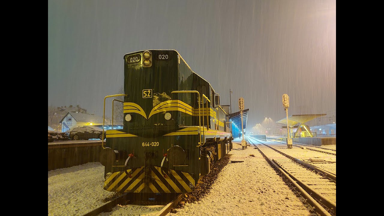 Trains in Poljčane 1