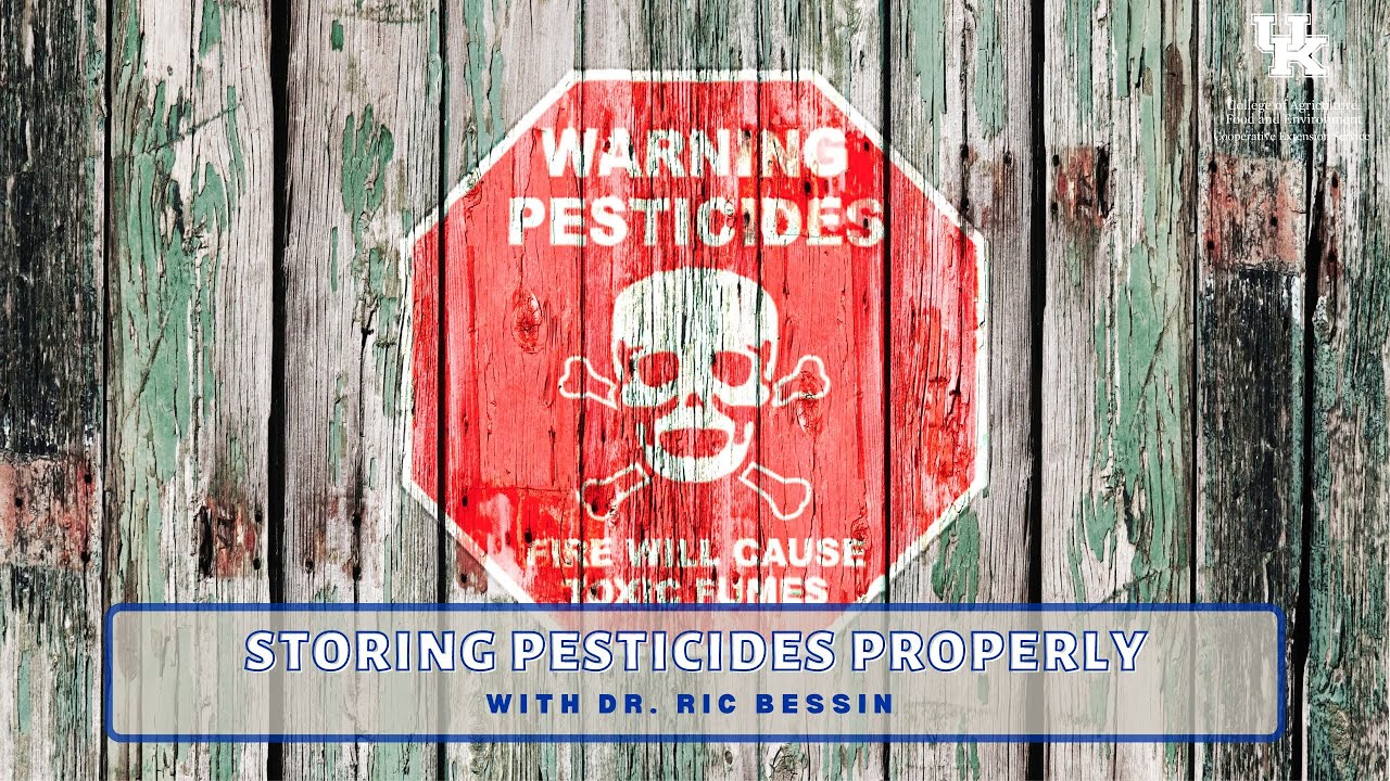 Storing Pesticides Properly
