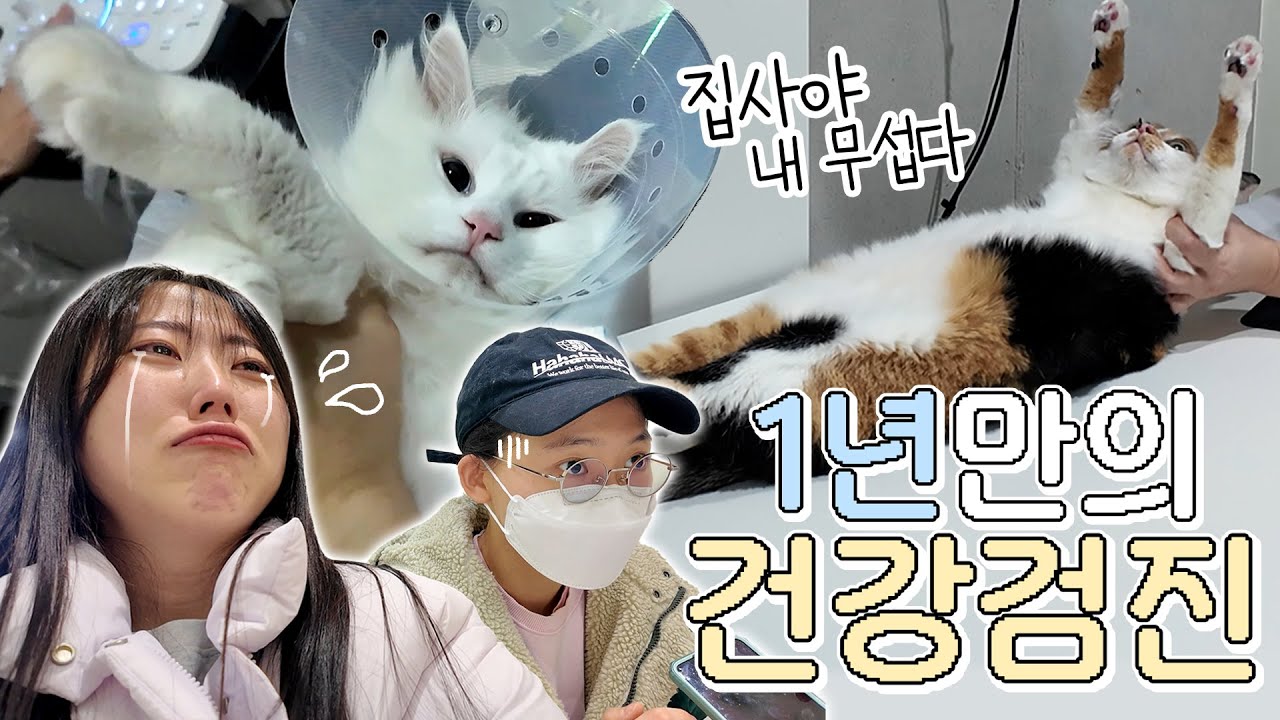 아직 아기같은 점프, 병철이의 건강검진 결과는..?
