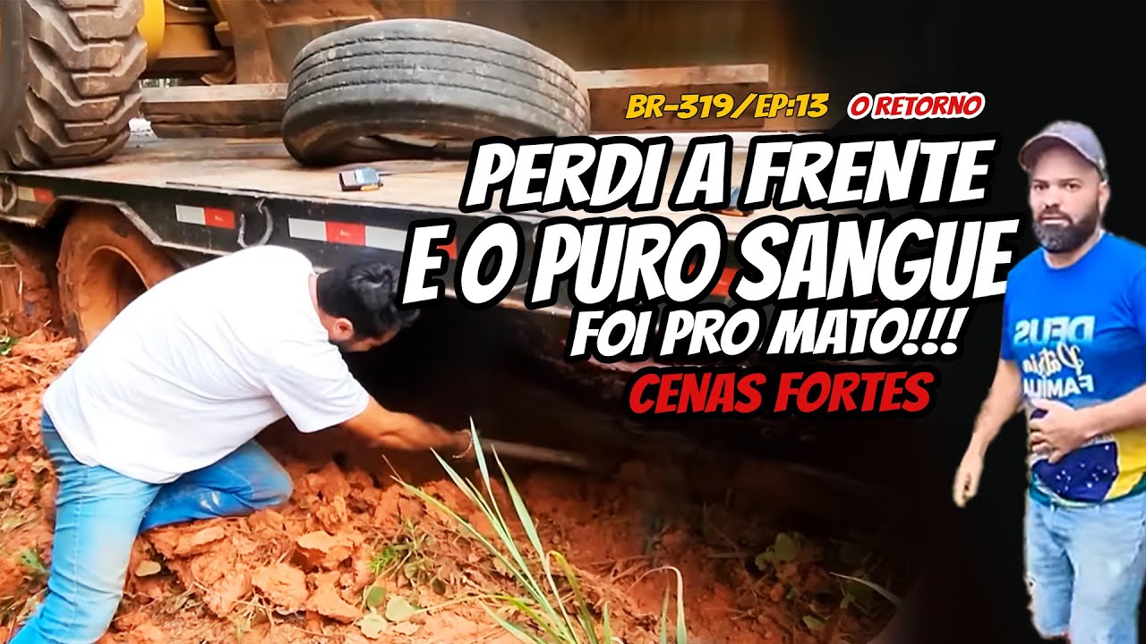 (BR-319/EP13 - O RETORNO) - O VIZONE FOI PRO MATO E O PURO SANGUE TAMBÉM, MAS POR MOTIVOS DIFERENTES