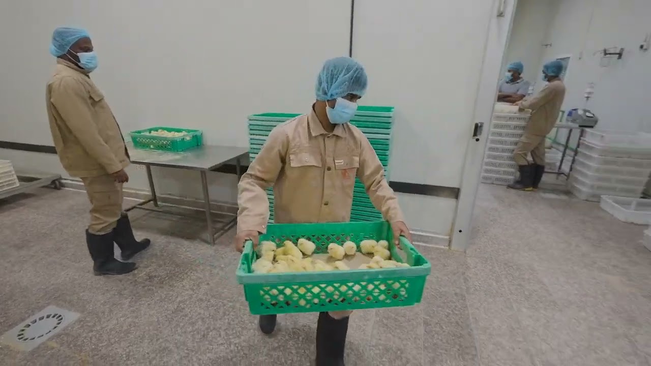 الشركة العربية لامات الدواجن - الامارات