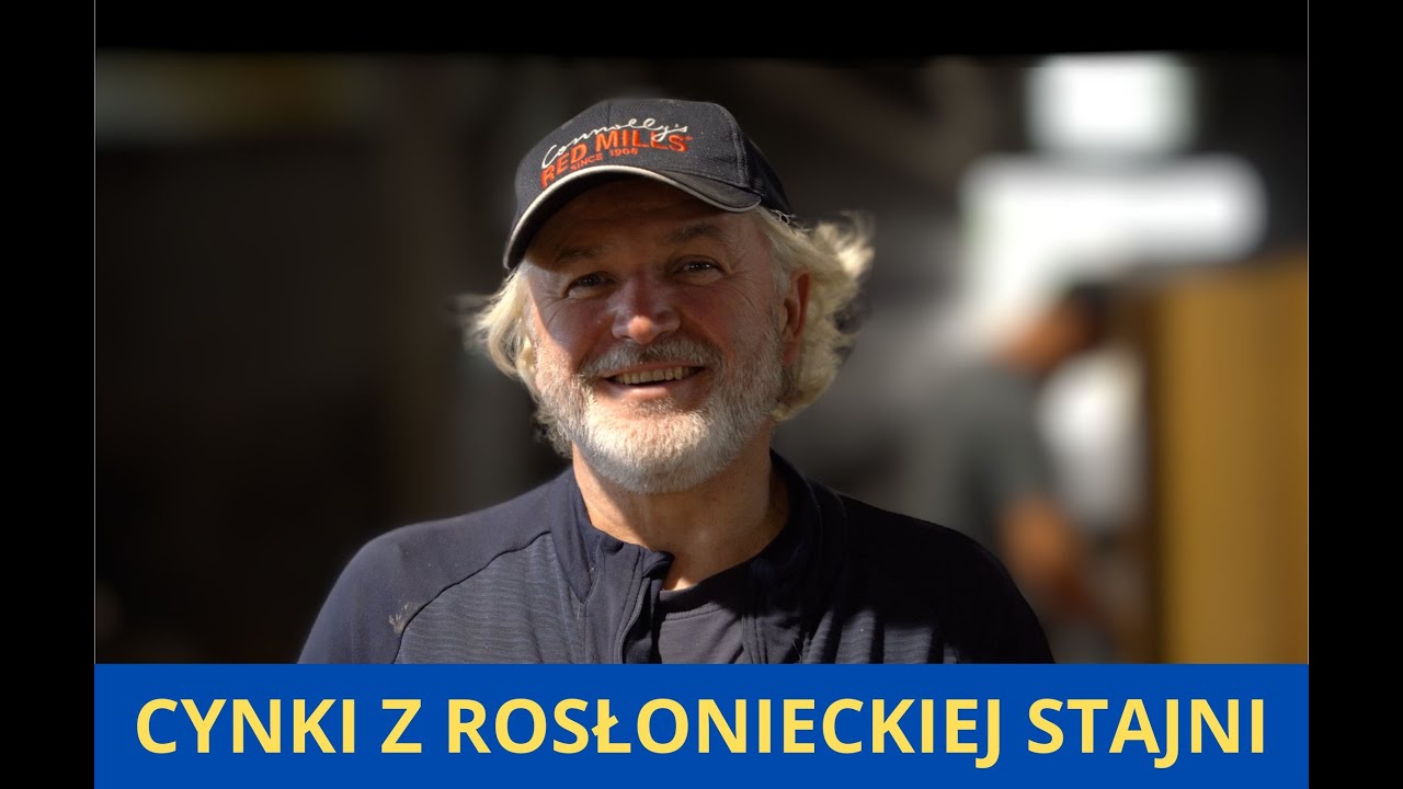 Cynki z Rosłonieckiej stajni 11 i 12 dzień wyścigowy Adam Wyrzyk