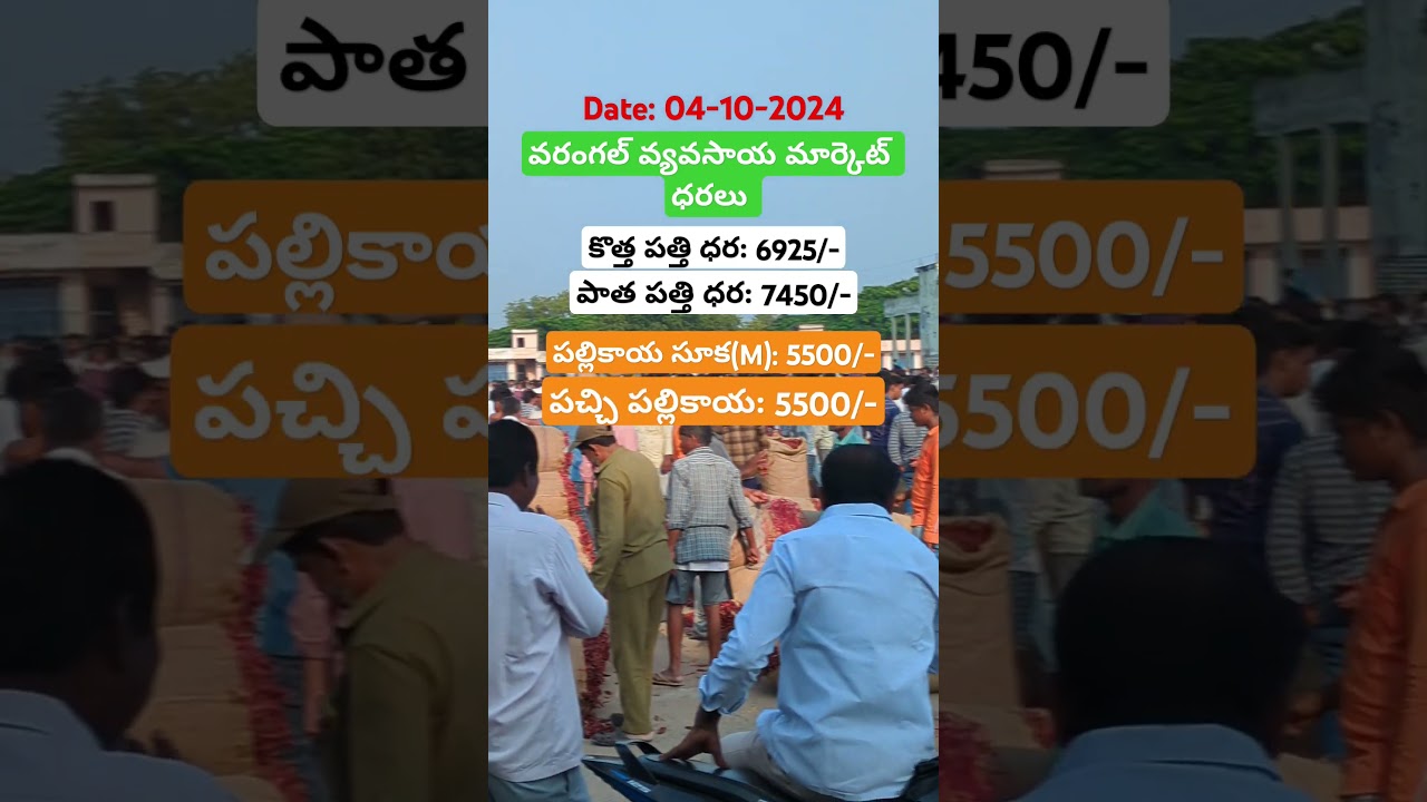 Today Warangal market rates 04/10#warangalmirchimarkettoday #agricurrentaffairs #currentaffairs #gk