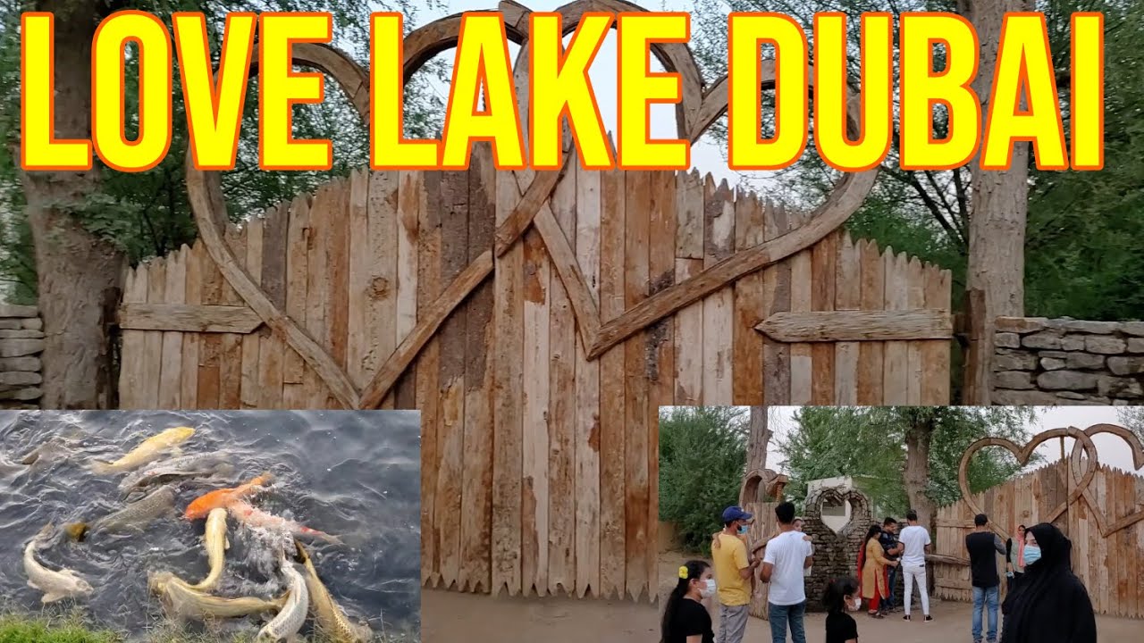 Love Lake Dubai Al Qudra | Al Qudra lakes dubai | Love Lake | Colour full fishes | Lake/love