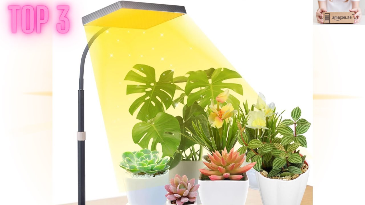 Top 3 des Meilleures Lampes LED pour Vos Plantes d'Int&eacute;rieur en 2025 !