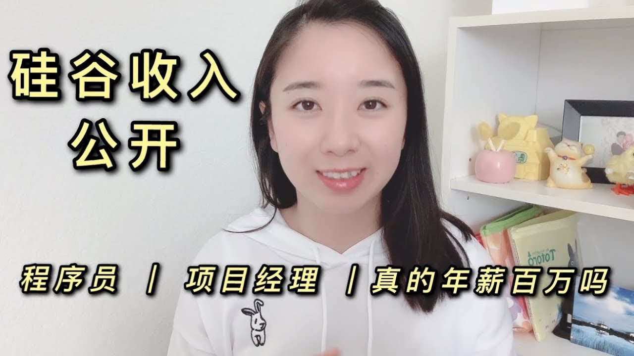 美国湾区硅谷工作 收入公开