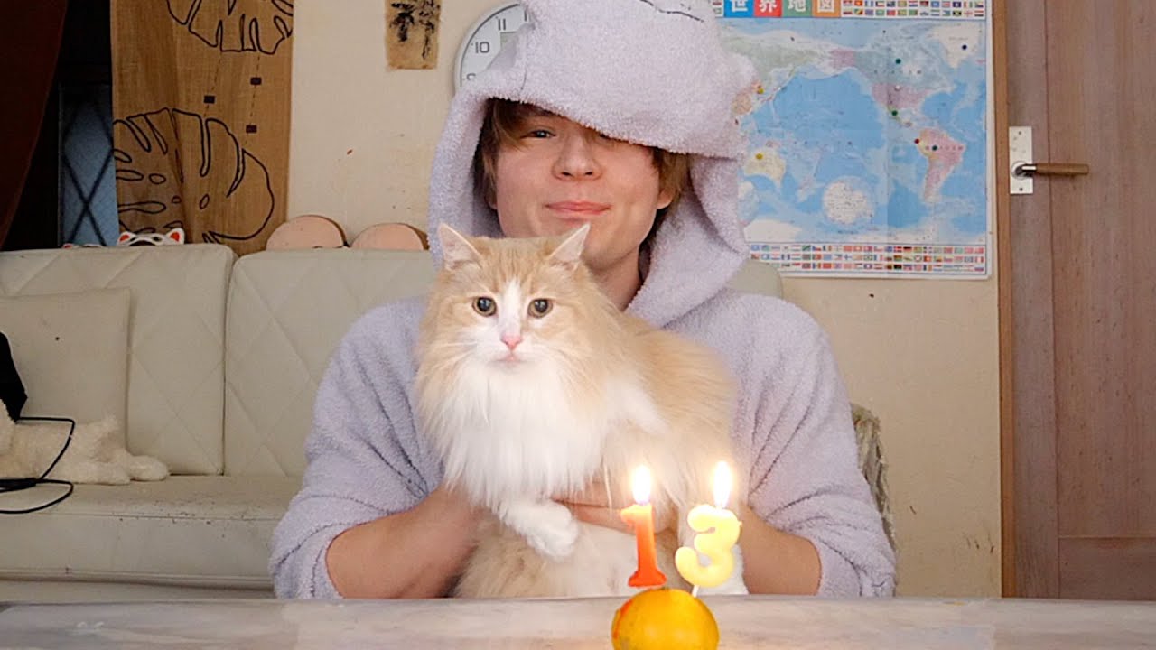 猫が13歳になったよー(∩╹∀╹∩)【POP誕生日】　　PDS