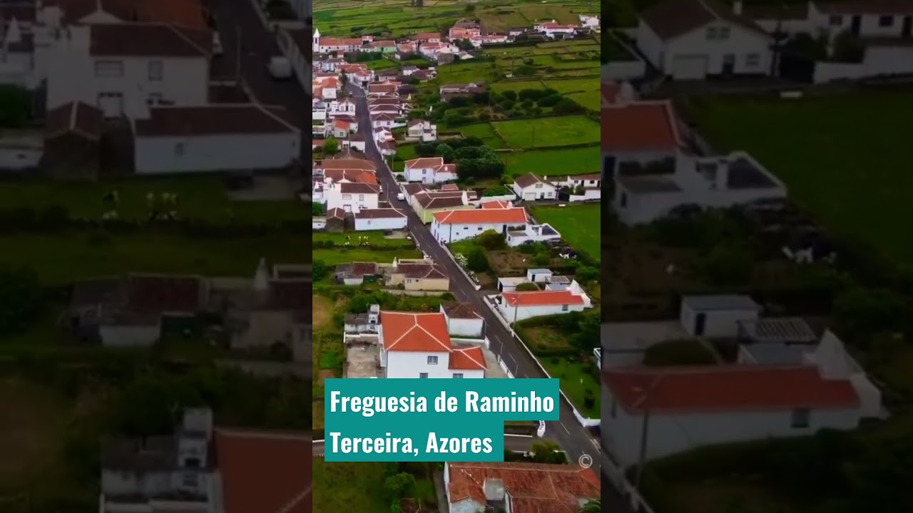 Terceira: Frequesia de Raminho (Azores) 🐄🐄