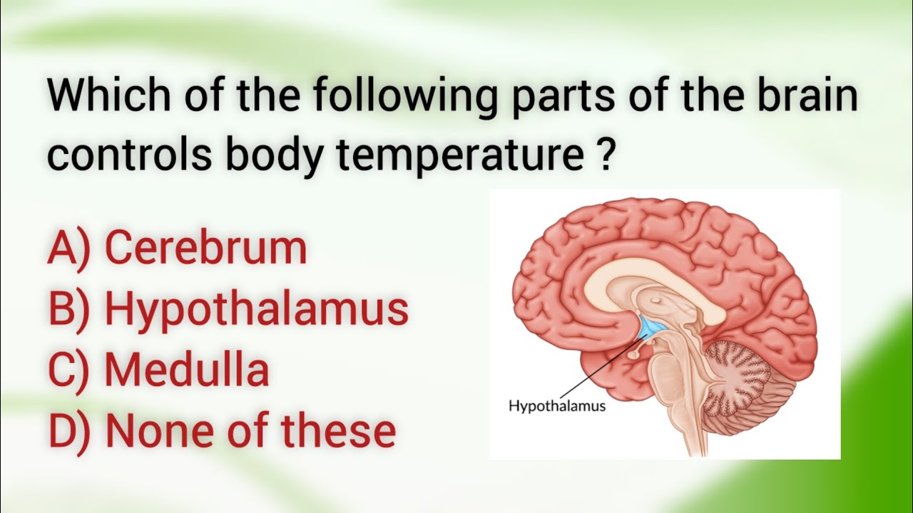 ESIC previous questions paper for staff nurse||Important MCQs from previous paper||