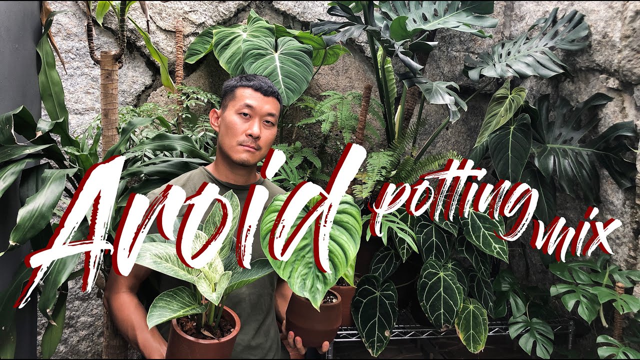 Aroid (and epiphyte) Potting mix