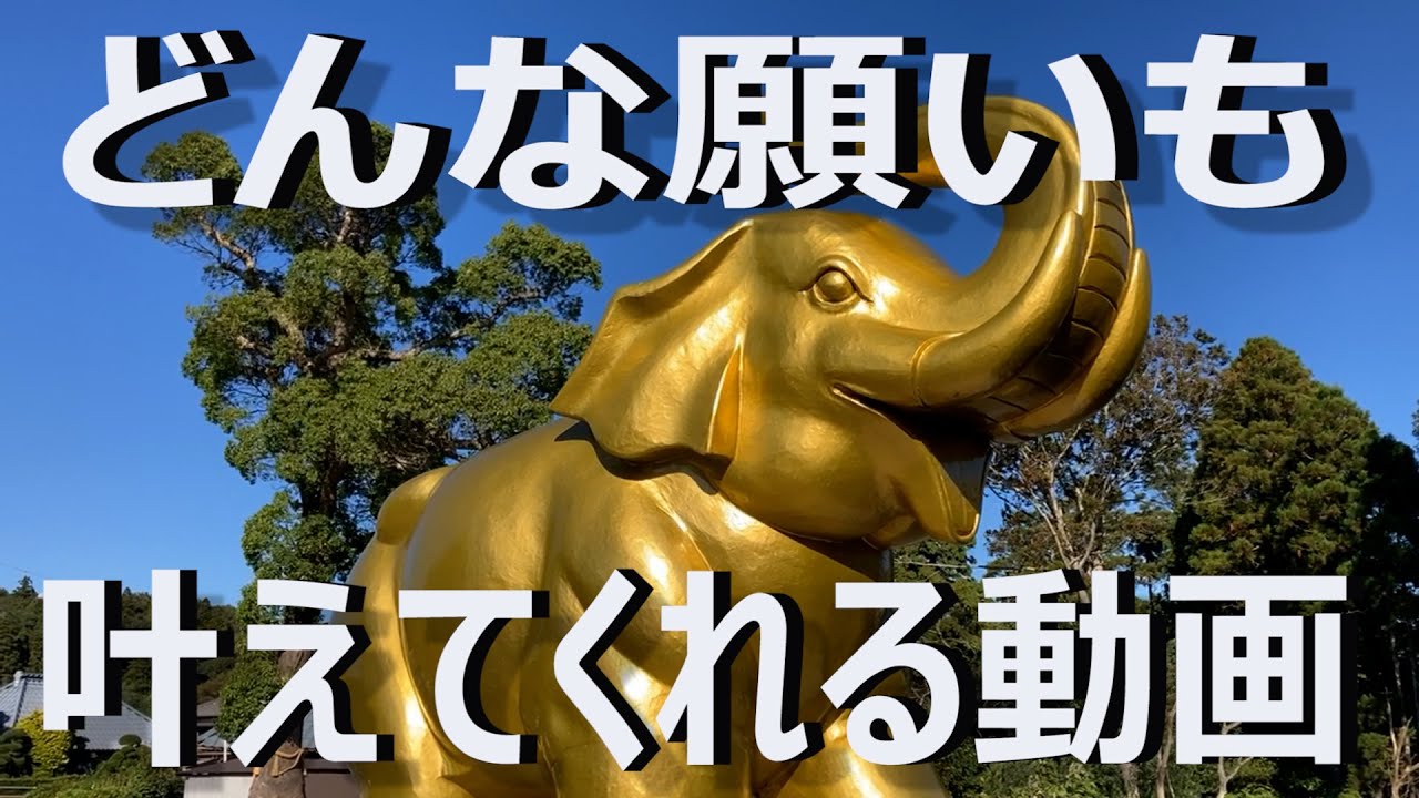 【　吉ゾウ君　】あなたの願いを叶え、お金持ちに導いてくれる　【　長福寿寺　】