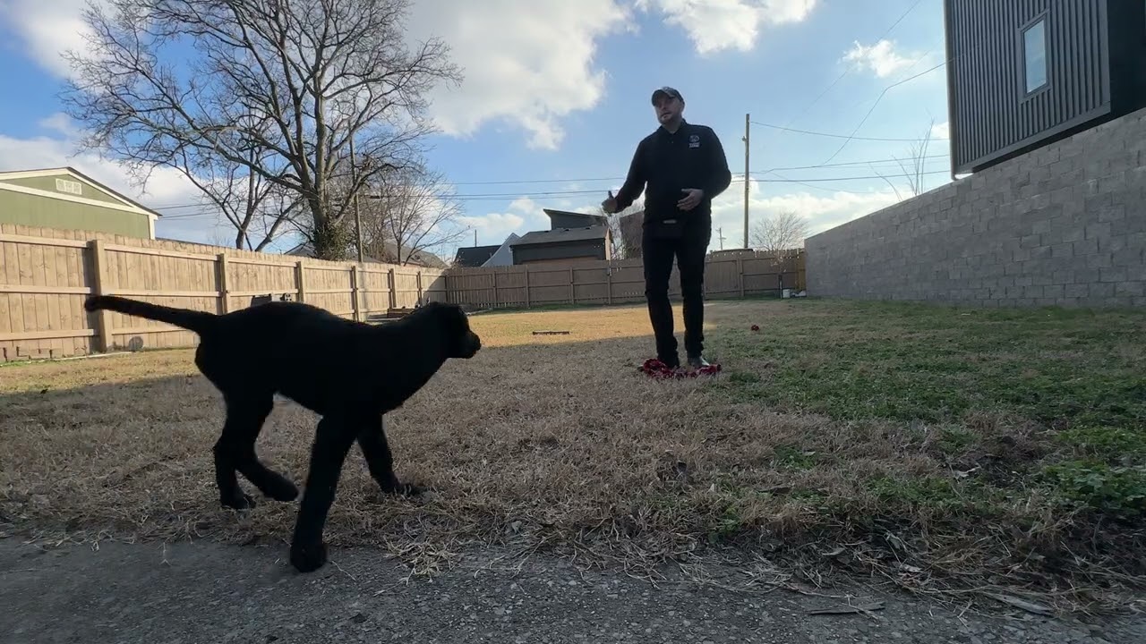 Winston - Lesson 2