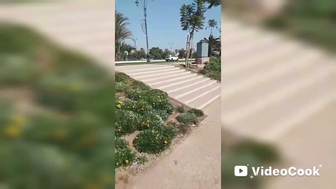 لحضة هروب نحو الجمال✨وهنا كتسكت🙊الضوضاء وكيبدا السلام💨دقائق من الجنة فوق الارض😍🍃