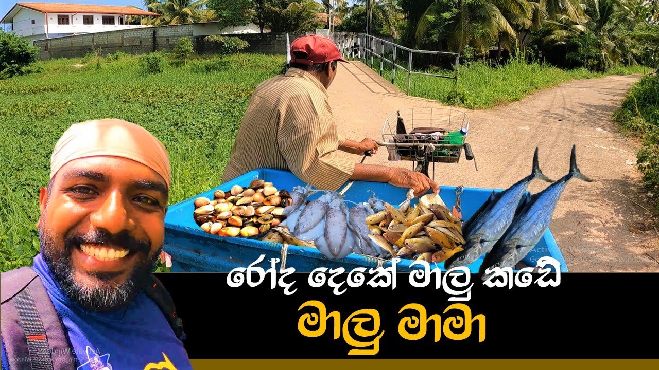 සිනහව බෙදන බන්ඩිගොඩ මාලු මාමා ...@wishwatiyubaya