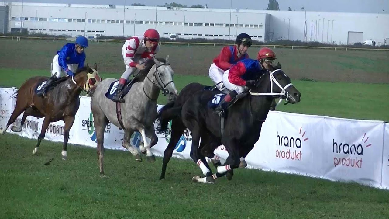 Konjicki dan 2015 u Srem. Mitrovici - Galopske trke
