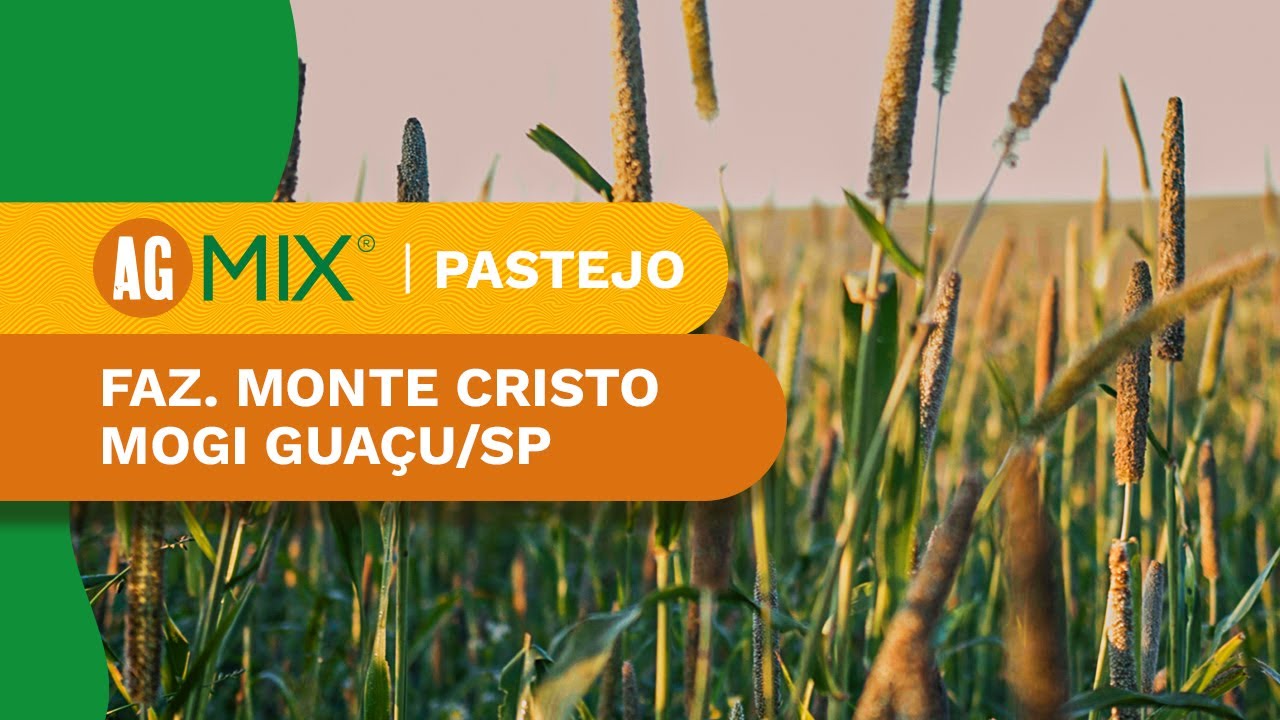 FORTALECENDO O SOLO COM AG MIX PASTEJO🌱