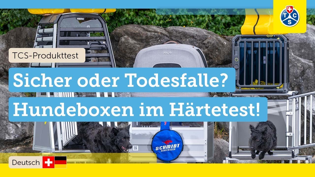 LEBENSGEFAHR für Hund und Insassen? 🚨 Wir testen 9 Hundeboxen im CRASHTEST! | TCS Test 2025