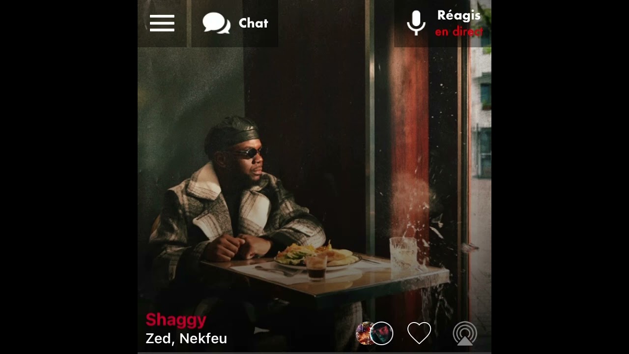 Zed, Nekfeu Shaggy Version Skyrock