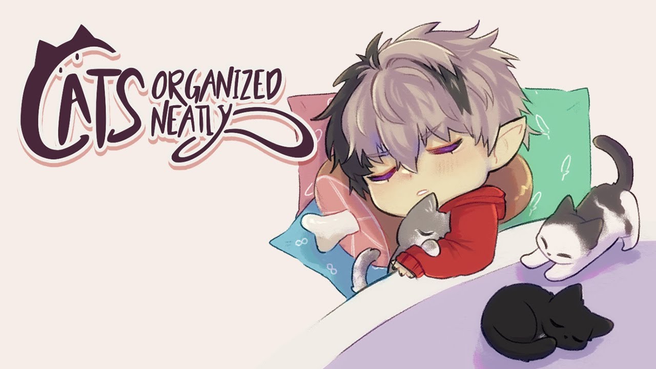 【CATS ORGANIZED NEATLY】The K in 60K stands for Kitties