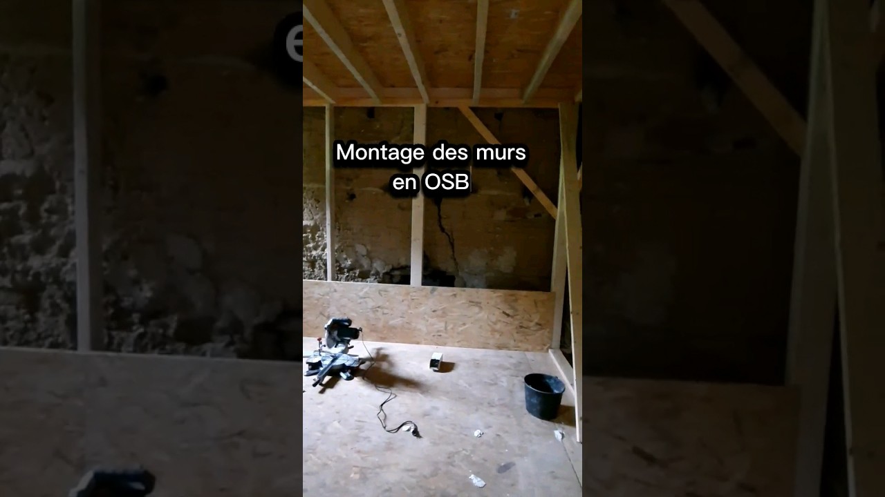 Montage des murs de l'atelier avec de l'osb