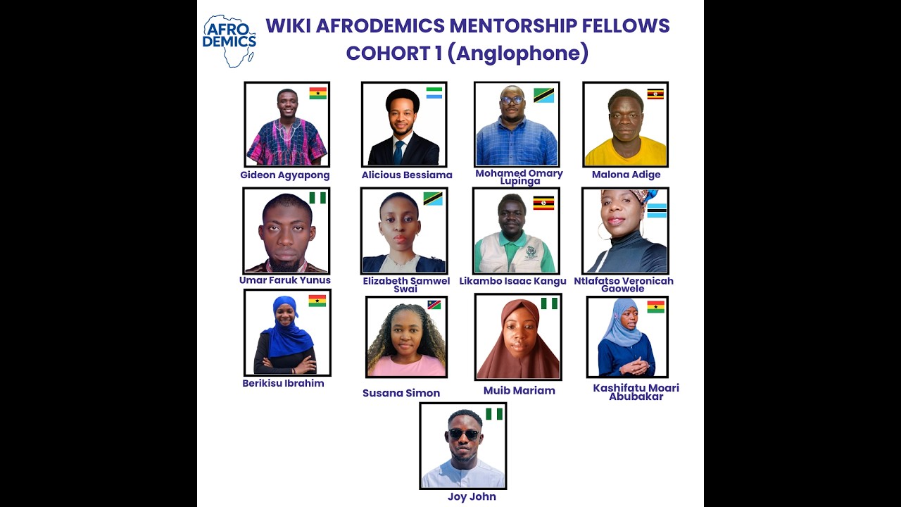 The Wiki Afrodemics Project (WAMP)1st Cohort Onboarding Meeting
