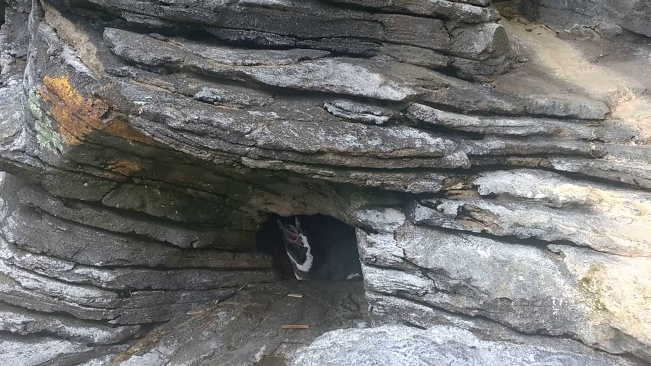 WP_20160515_14_39_55_Pro.mp4