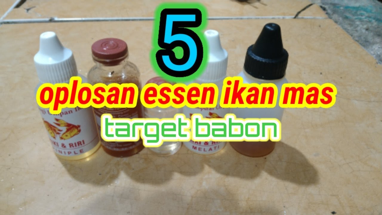 Rahasia oplosan Essen ikan mas babon