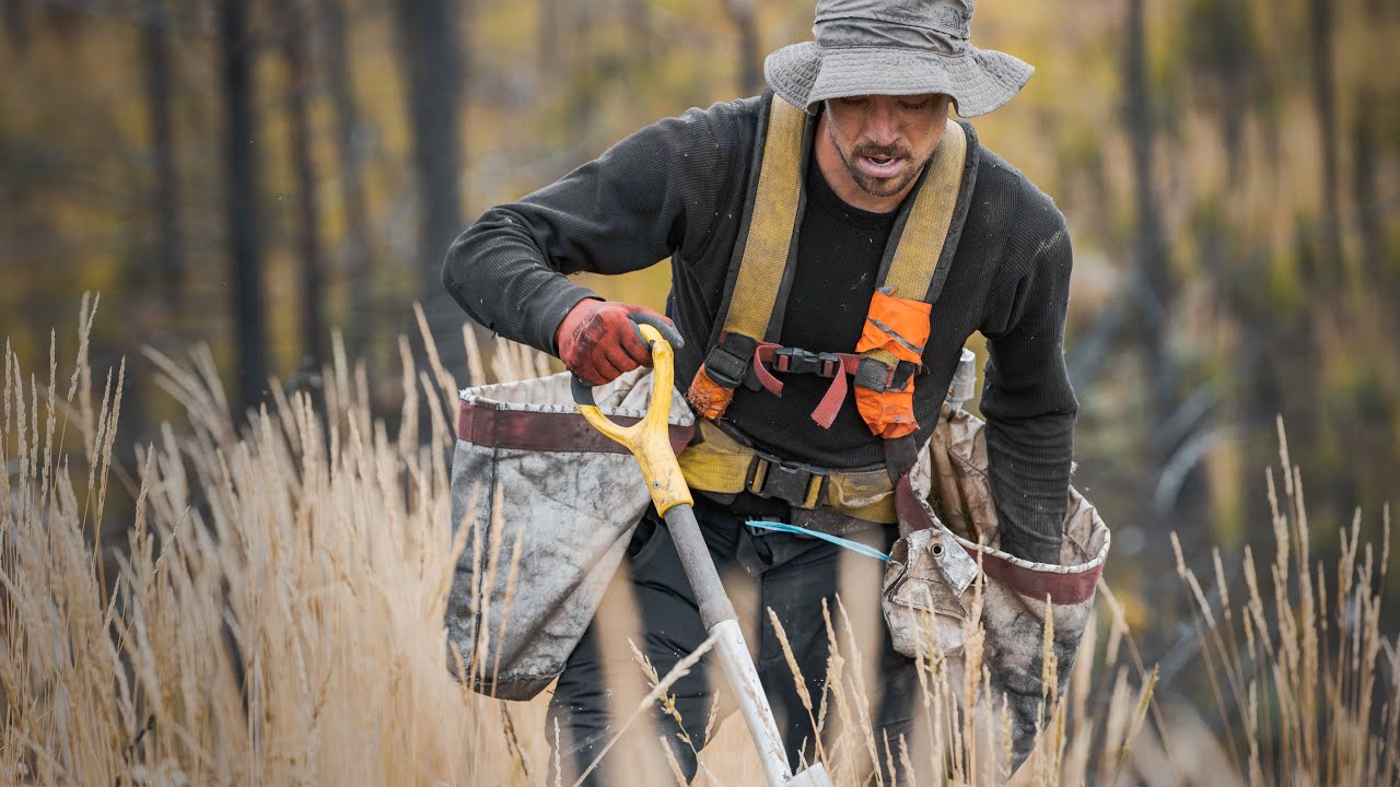 Planting Trees in Canada: ONE MILLION trees planted | One Tree Planted