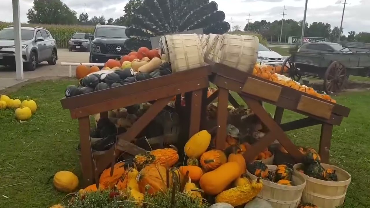 #pumpkin #firm #bluemountains  #summer 