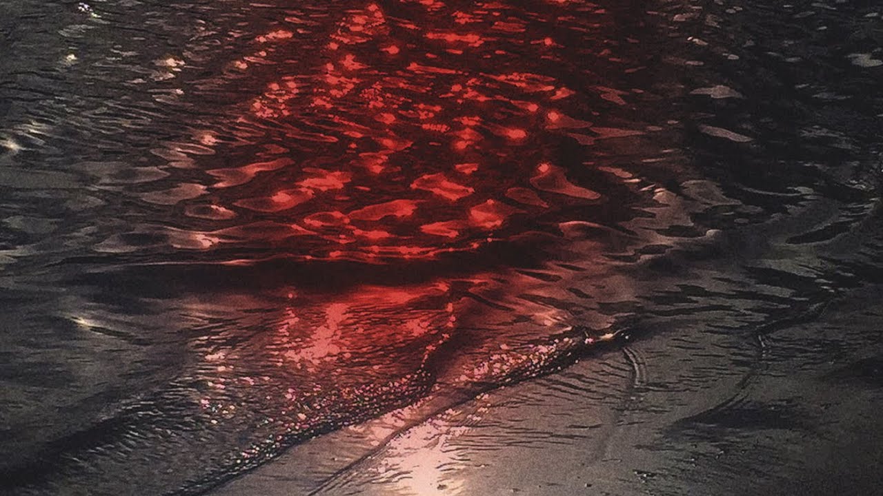 sobhh&iuml; &ndash;&nbsp;like i did