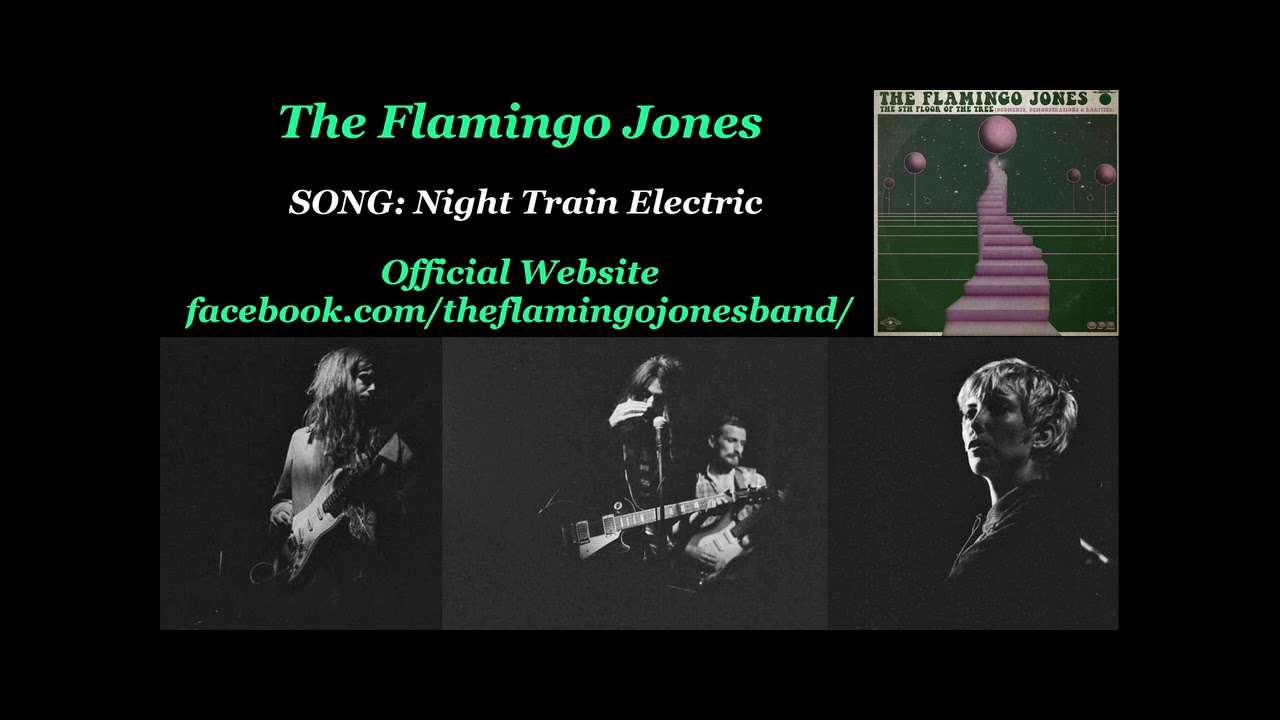The Flamingo Jones - Night Train Electric