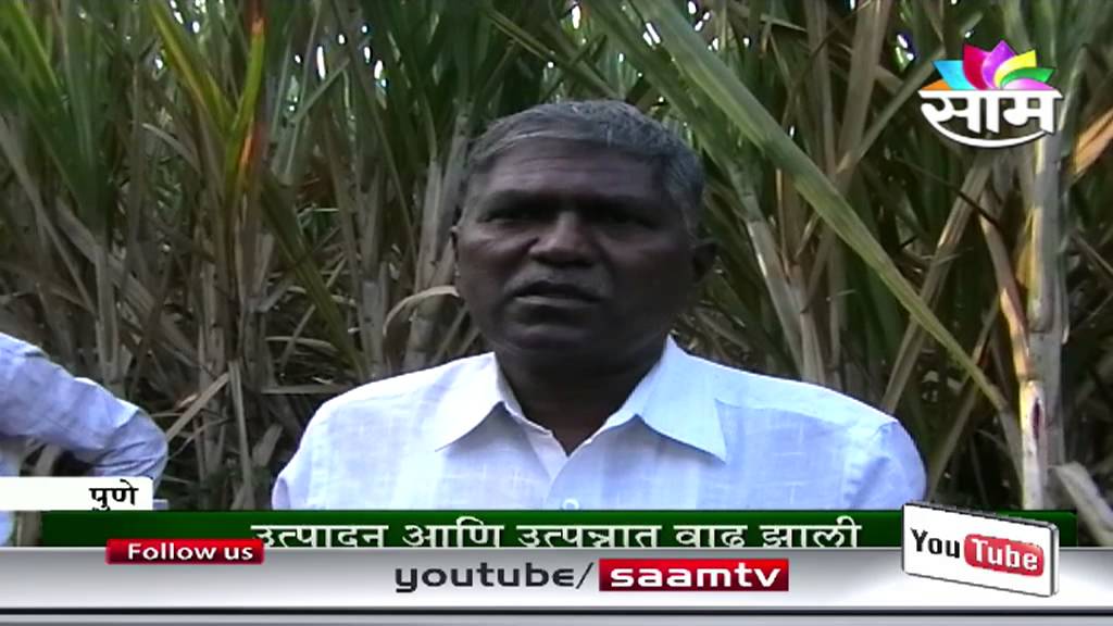 Madhukar Pisal's zero budget sugarcane farming success story
