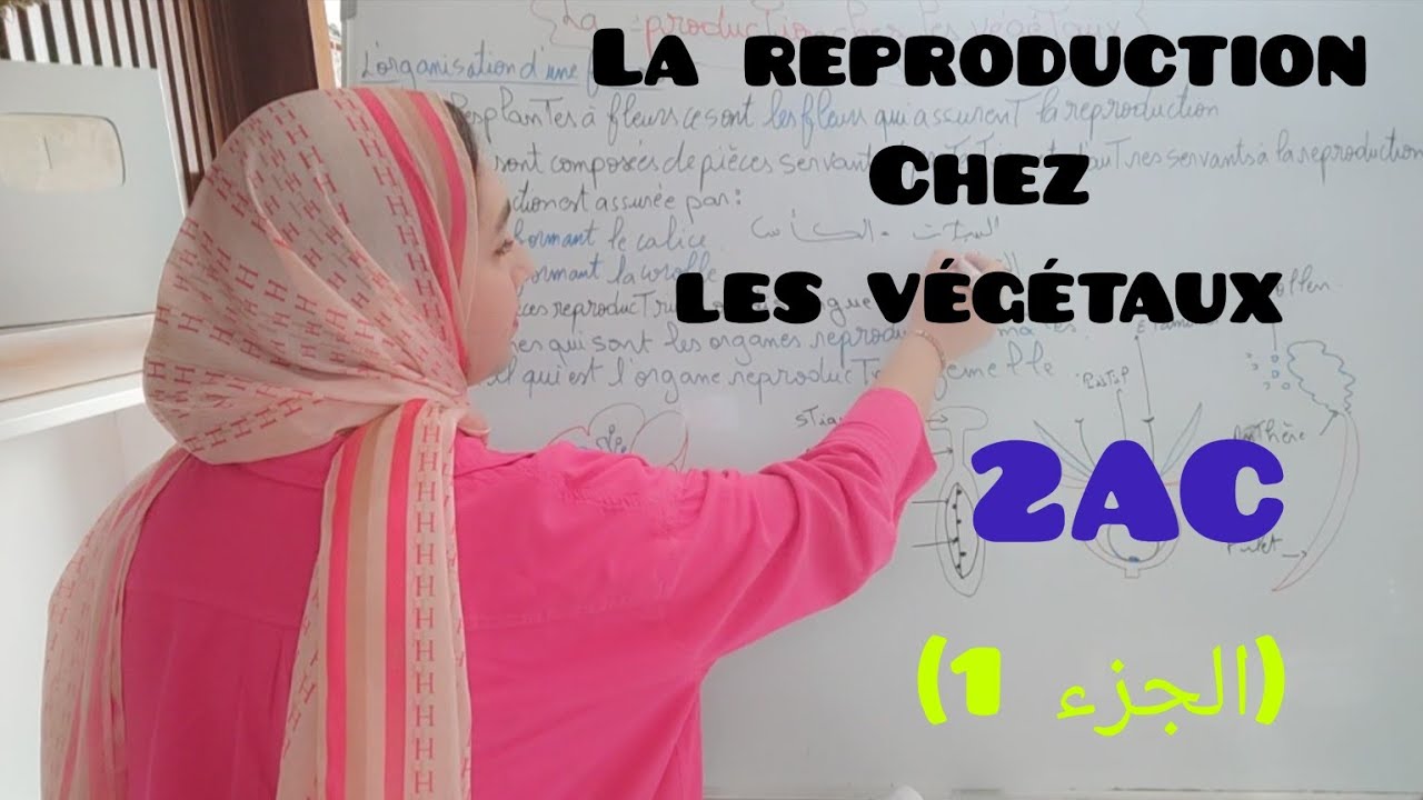 la reproduction chez les végétaux التوالد عند النباتات (partie 1)